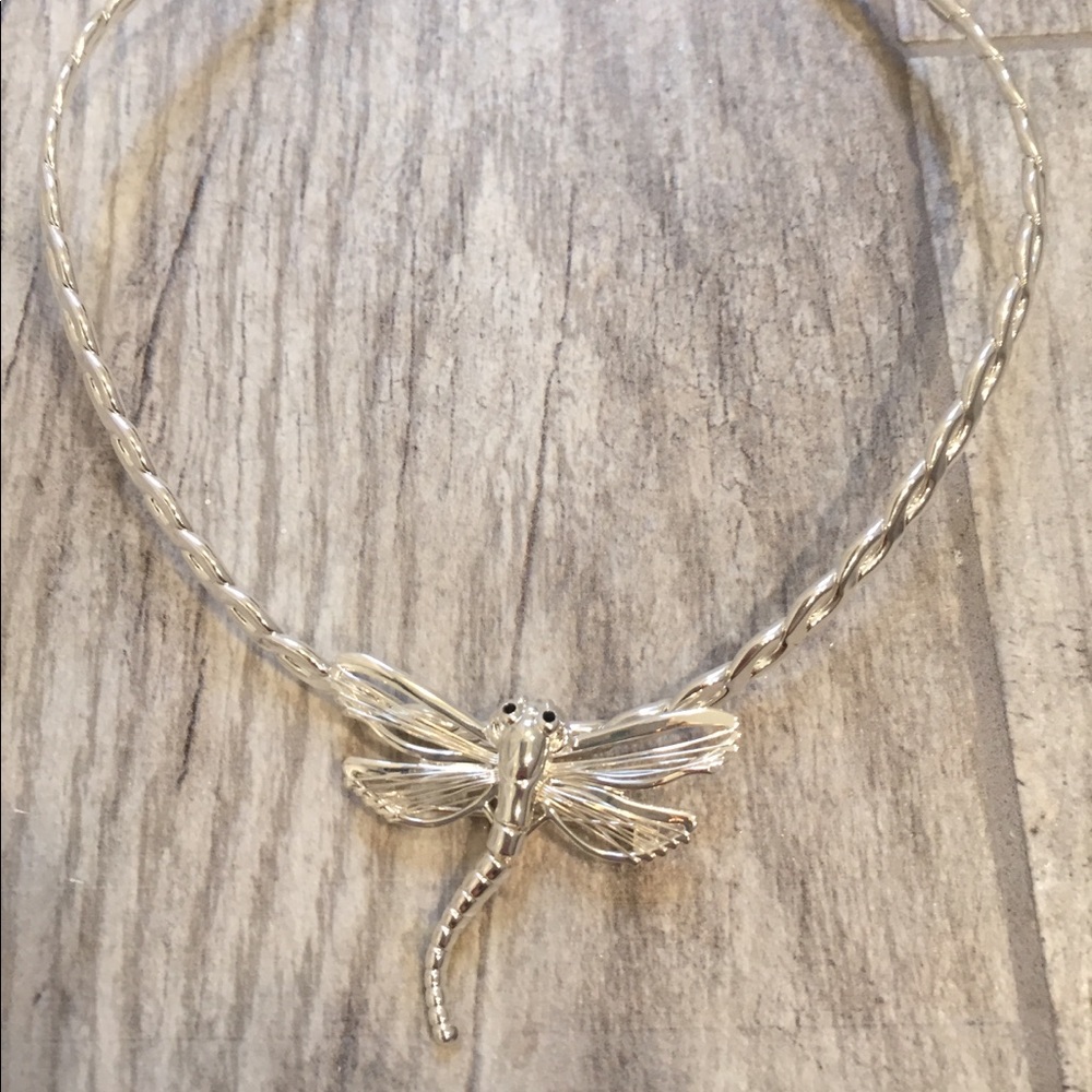 Dragonfly necklace / pin and enhancer.